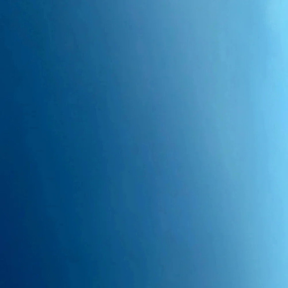 Wrangler Cut Off Shorts - Picture 12 of 12